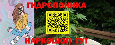 прущие крисы Северобайкальск