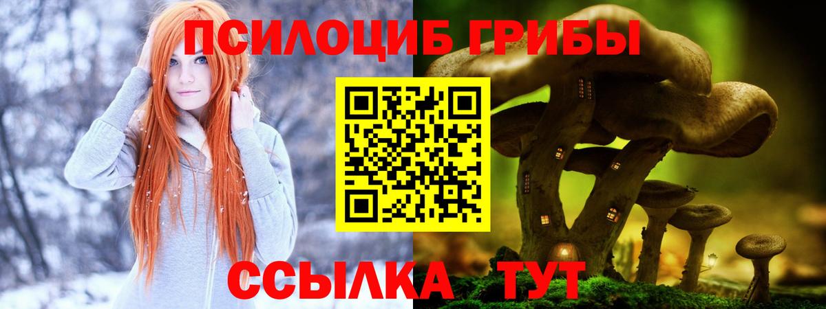 цена   Псилоцибиновые грибы ЛСД  Галлюциногенные грибы MAGIC MUSHROOMS  Вход с VPN  Саранск 